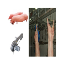 Pig Slaughterhouse Abattoir Butcher Equipment Pig Abattoir Machinery